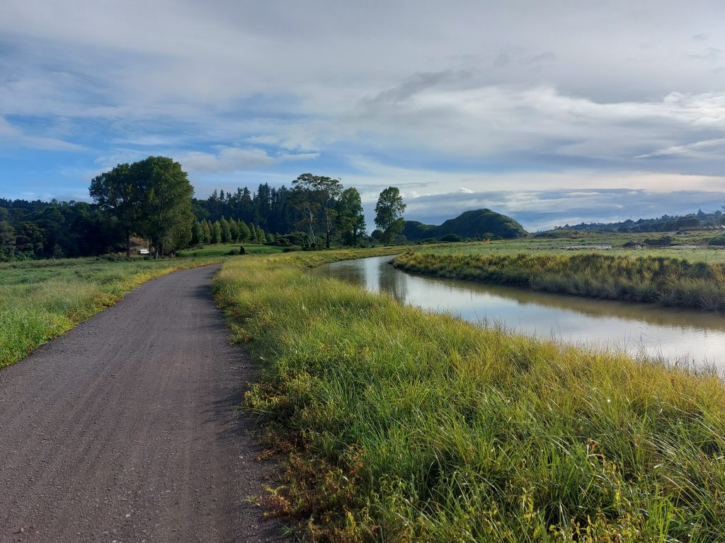 The Kōpūrererua Stream Realignment Project