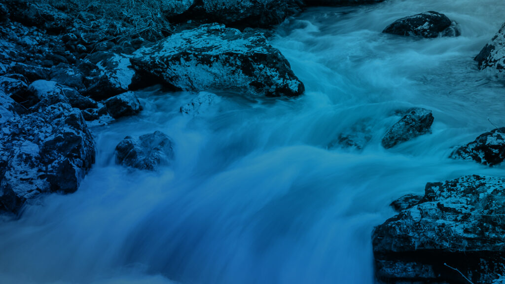 bluegums Ecolabelling