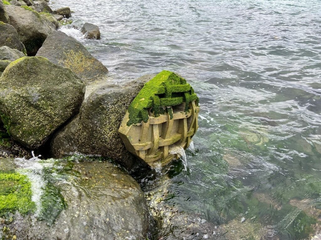 Marine Habitat Enhancement