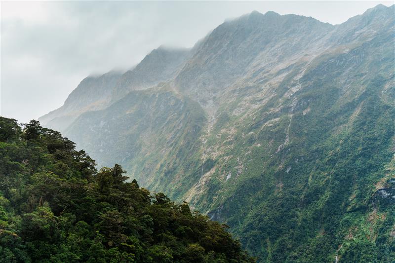 Sustainability Report 2025