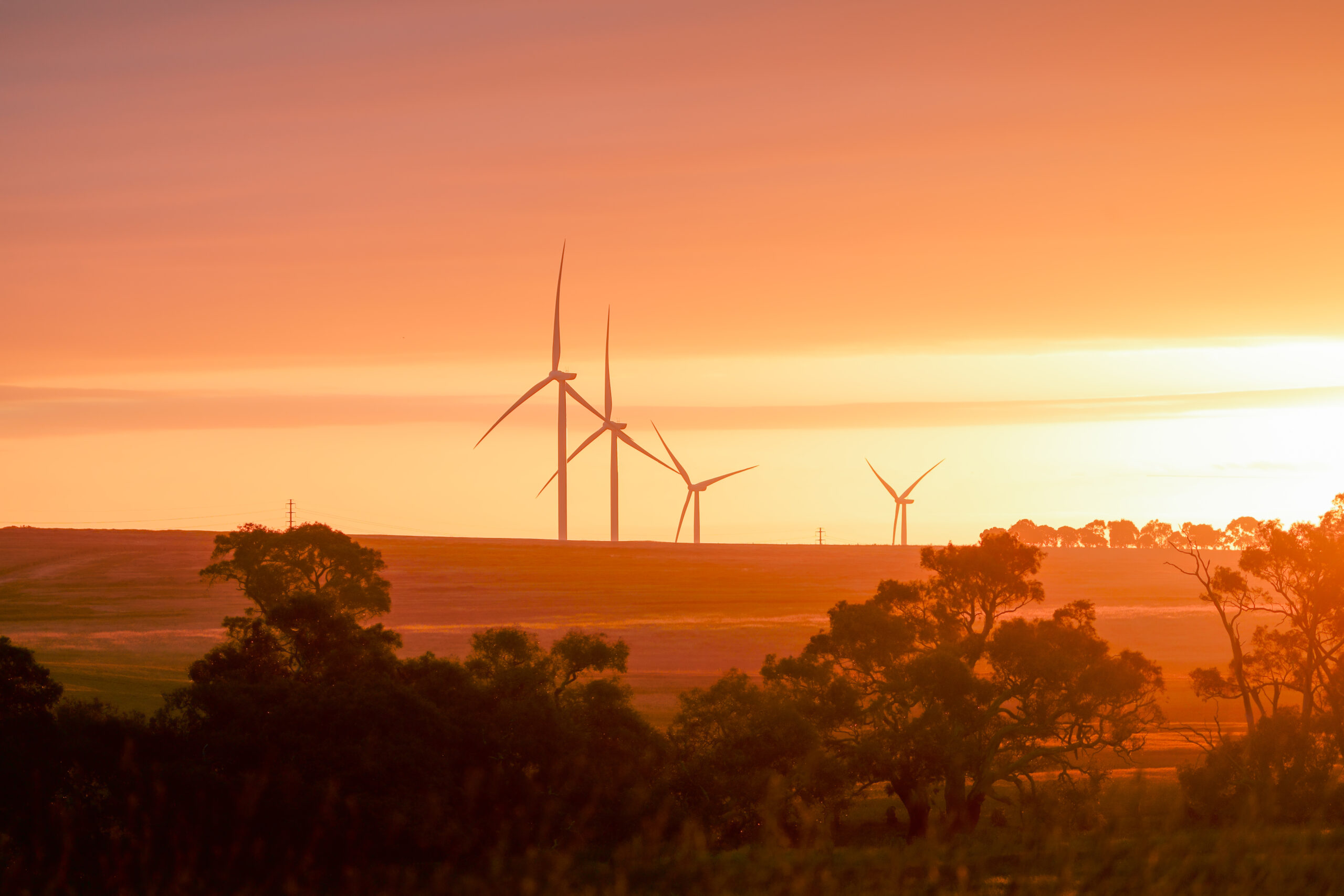 Article: Geotechnical Innovation in Wind Farm Construction